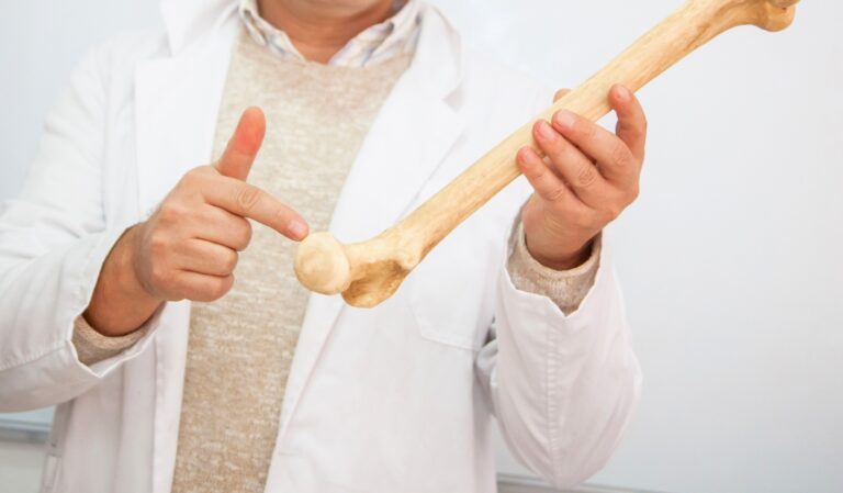Person in a white lab coat holds a large femur bone and points to its rounded head near the hip joint area.